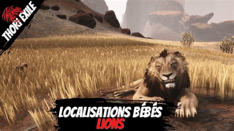 The wealth of Hyborian nations is built upon the backs of their beasts of burden and those who know how to handle an animal. . Conan exiles lion cub